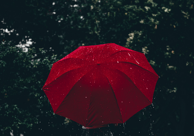 Storm Preppers - 10 Best Umbrellas for Heavy Rains and Gusty Winds