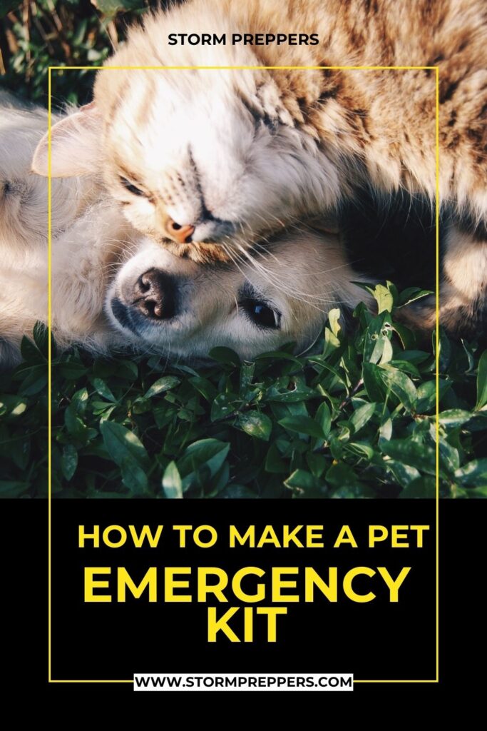 Storm Preppers - Pinterest - How to Make a Pet Emergency Kit